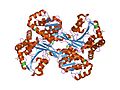 Thumbnail for Histidinol dehydrogenase