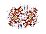 PDB 1pge EBI.jpg