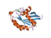 PDB 2aed EBI.jpg