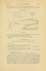 Category:Clarias - Wikimedia Commons