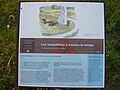 Panneau d'information sur les mégalithes à travers le temps et le menhir de Léhan