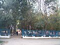 El parc de la ciutat
