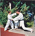 Pat McKay mit Spaß beim Karate.jpg