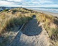 * Nomination Path on dunes on the South New Brighton Beach --Podzemnik 05:37, 5 December 2020 (UTC) * Promotion  Support Good quality -- Johann Jaritz 05:51, 5 December 2020 (UTC)