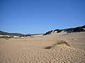 Dune della spiaggia di Piscinas
