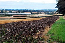 Ploughed fields in Wheatley, with strawberry polytunnels in background Ploughing in progress - geograph.org.uk - 561680.jpg