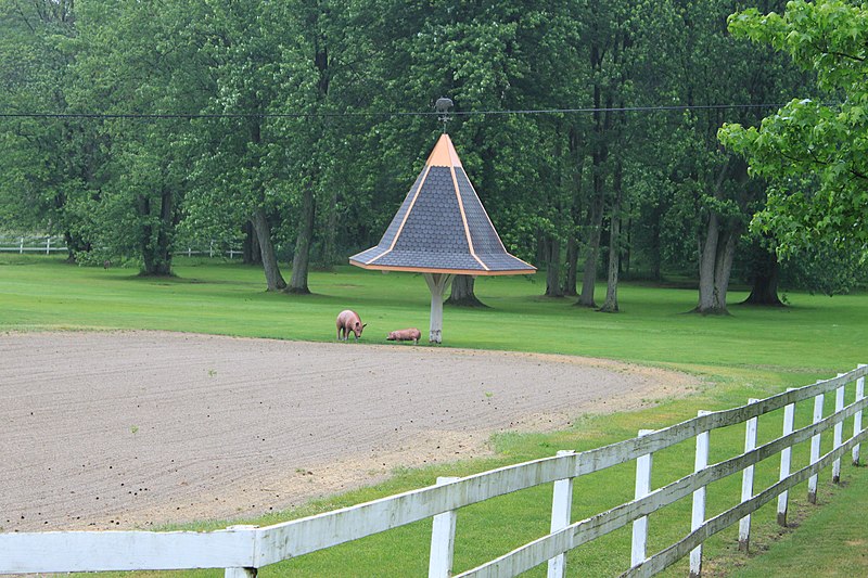 File:Porcine Statues on Earhart Road, 9381 Earhart Road, Northfield Township, Michigan - panoramio.jpg