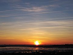 Port des Barques charente- maritime France 06.jpg