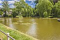 * Nomination Prinzenteich ("Prince's pond") in Eisenach --Plozessor 05:03, 4 March 2024 (UTC) * Promotion  Support Good quality. --GoldenArtists 18:04, 4 March 2024 (UTC)