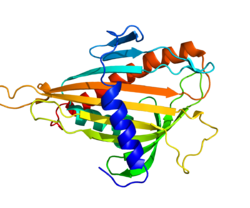 Протеин COL4A3BP PDB 2E3M.png