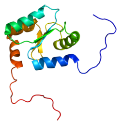 پروتئین GLRX2 PDB 2cq9.png