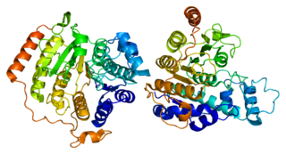 <span class="mw-page-title-main">HDAC8</span> Protein-coding gene in the species Homo sapiens