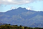 Vignette pour Forêt nationale d'El Yunque