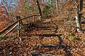 * Nomination Staircase on the forest trail Gloriettenweg in Leonstein, Pörtschach, Carinthia, Austria -- Johann Jaritz 03:30, 17 December 2023 (UTC) * Promotion  Support Good quality. --Tagooty 04:05, 17 December 2023 (UTC)