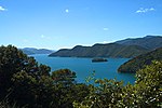 Thumbnail for Queen Charlotte Sound / Tōtaranui