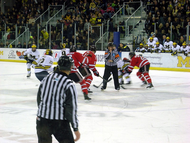 File:RPI vs. Michigan ice hockey 2014 16.jpg