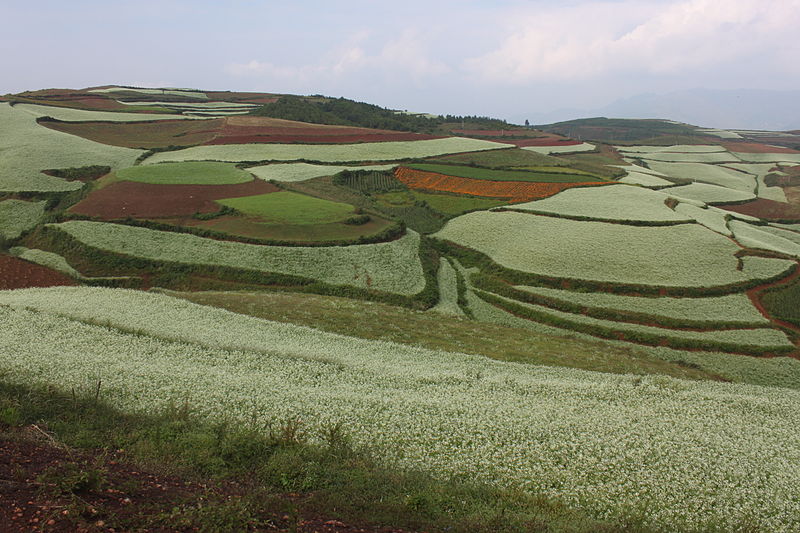 File:Red earth at Hongtudi1.jpg