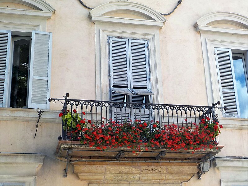 File:Red pelargoni on the balcony, Piazza Santa Chiara, Assisi, Italy.jpg