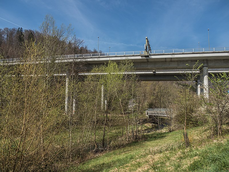 File:Reppischtalbrücke über die Reppisch, Birmensdorf ZH 20220411-jag9889.jpg