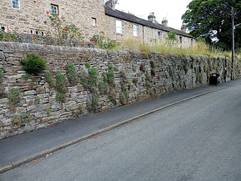File:Retaining Wall South Of Stone House.jpg