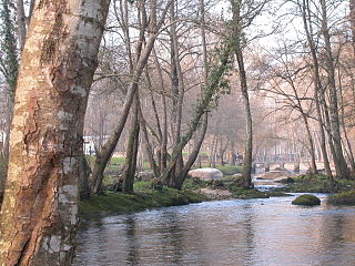 Río Avia na ponte das Poldras en Leiro