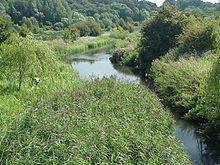 Ein Fluss, der durch grüne Landschaft fließt