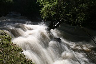 River vedi.jpg