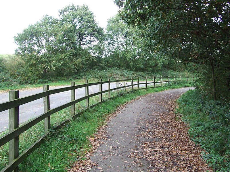 File:Road And Path - geograph.org.uk - 3720763.jpg