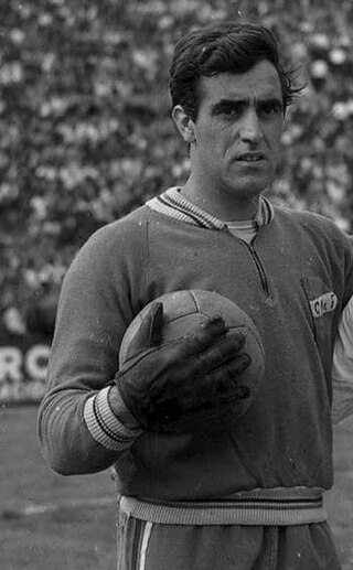 <span class="mw-page-title-main">Roberto Sosa (Uruguayan footballer)</span> Uruguayan footballer (1935-2008)