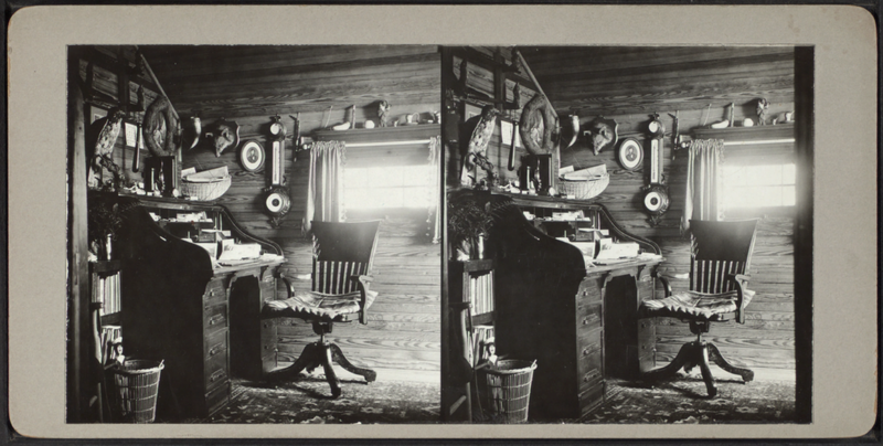File:Roll-top desk with various mounted animals, from Robert N. Dennis collection of stereoscopic views.png
