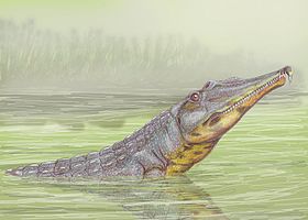 Rutiodon, eräs vesielämään sopeutunut krokotiilia muistuttanut phytosauri.