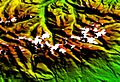 Fehlpixel: Im Bild fehlen die Berggipfel der Hohen Tatra aufgrund von Totalreflexion der Radarwellen. Dieser Effekt kann durch Eis- oder Schneeflächen sowie bei steilen Gebirgshängen auftreten. Ebenso können Wasserflächen zu Fehlpixeln führen.