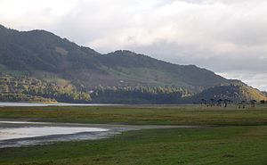 Sabana de Bogotá cerca del embalse del Neusa.