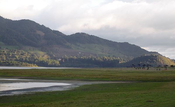 The Bogotá savanna, where Van der Hammen did a lot of his work