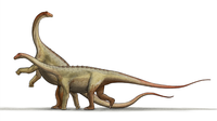 Saltasaurus dinosaur.png