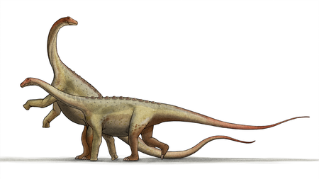 Tập_tin:Saltasaurus_dinosaur.png