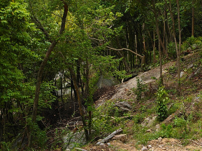 File:Samui 2013 May - panoramio (1).jpg