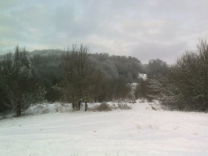 File:Satzberg im Winter - panoramio.jpg