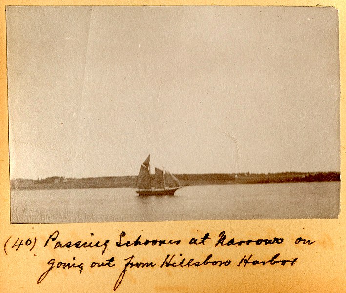 File:Schooner near Hillsborough Harbour (PR2004-001.10.3-40).jpg