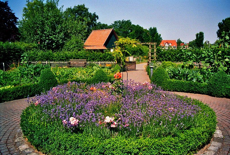 File:Schultenhof Mettingen Bauerngarten 3.jpg