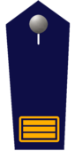 Merkdirector/-in