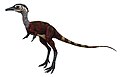 Shuvuuia deserti - vrsta dinosaura mesoždera iz porodice Alvarezsauridae