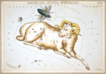 Thumbnail for File:Sidney Hall - Urania's Mirror - Aries and Musca Borealis.png