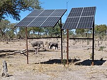 Ground-mounted solar panels in front of elephants