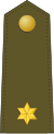 Spain-Army-OF-1a.svg