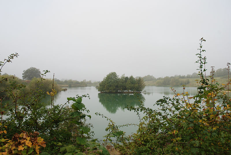 File:Speynes Mere,Merstham (1568318624).jpg