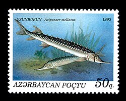 Stamps of Azerbaijan, 1993-194.jpg