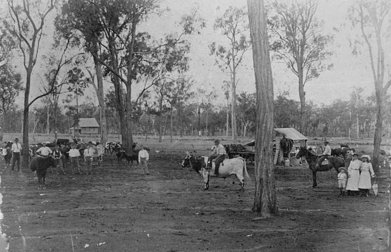 File:StateLibQld 1 108728 Rural scene in Biarra, Queensland, ca. 1902.jpg