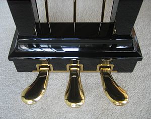 Steinway grand piano - pedals.jpg