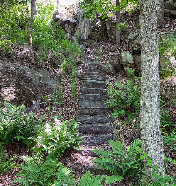 Hållet-Marieberg-Stenbro naturreservat skapad av Kavelgrisen